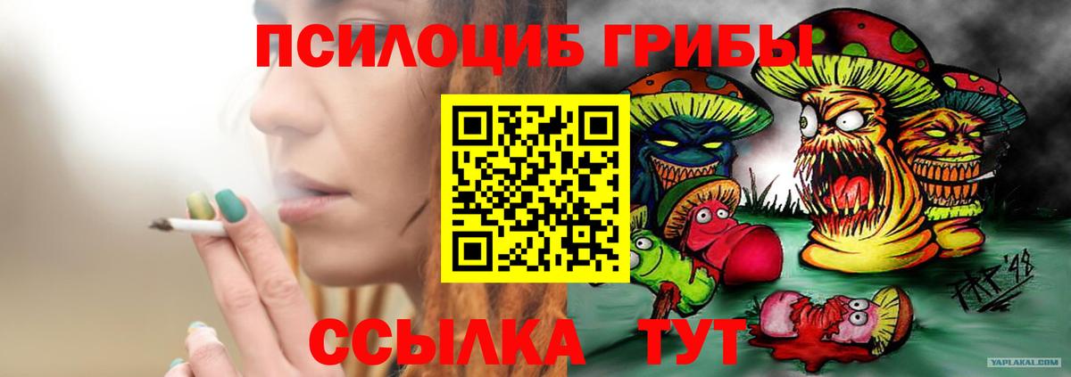 Псилоцибиновые грибы MAGIC MUSHROOMS  Вход с VPN  Псилоцибиновые грибы мицелий  купить наркотики цена  Малгобек 