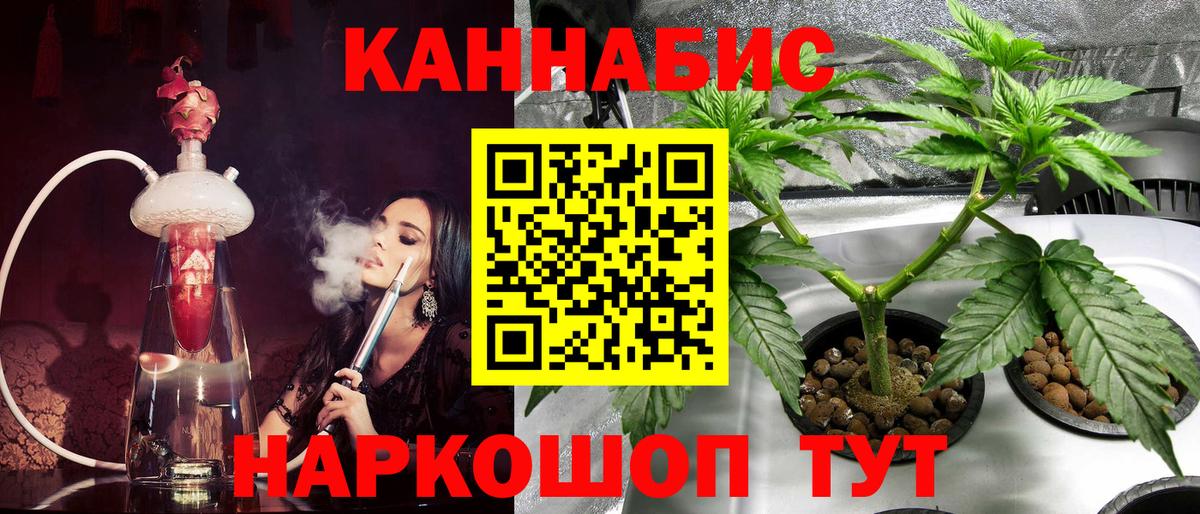 Бошки марихуана марихуана Малгобек